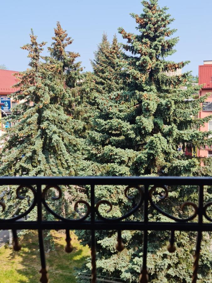 Hotel Villa Sofia Truskawiec Zewnętrze zdjęcie