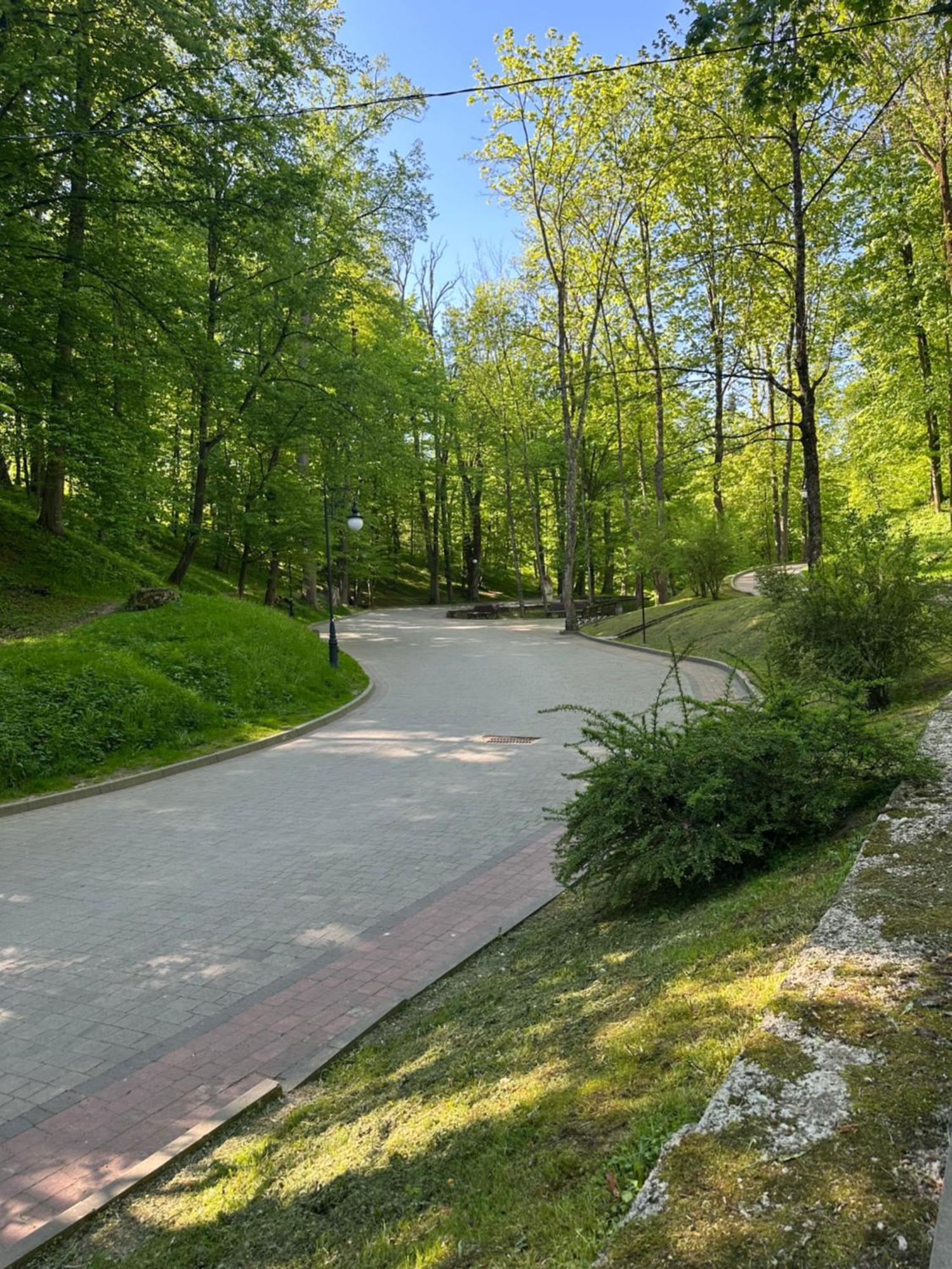 Hotel Villa Sofia Truskawiec Zewnętrze zdjęcie