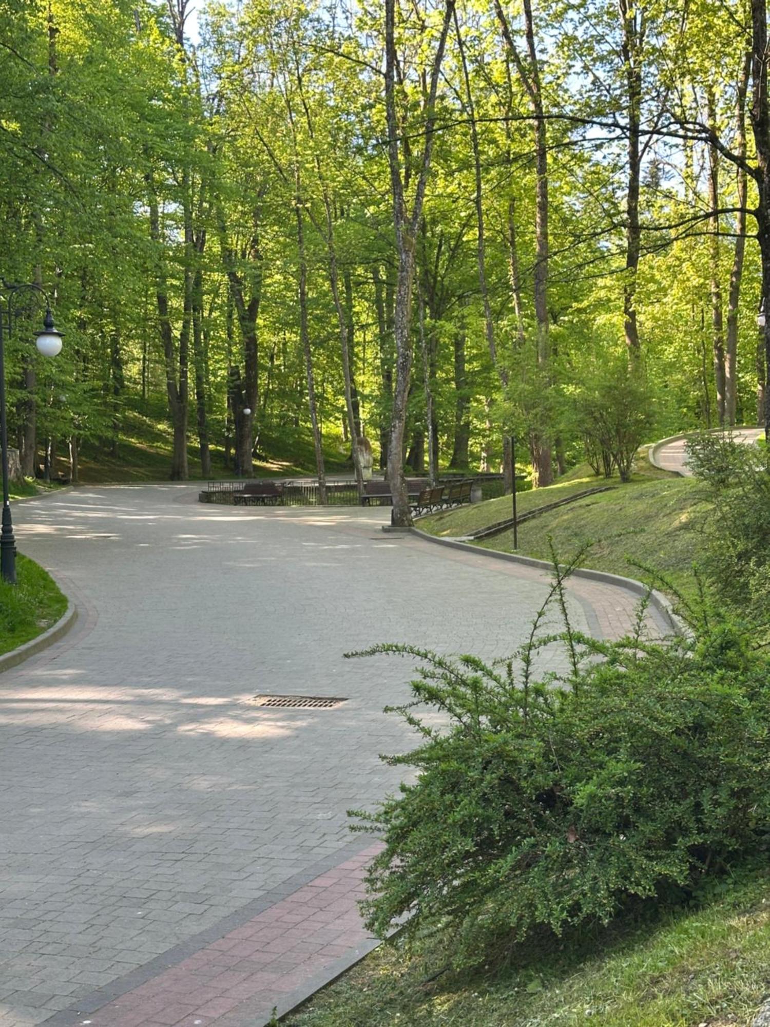 Hotel Villa Sofia Truskawiec Zewnętrze zdjęcie